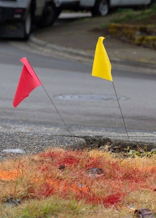 Utility location flags and spray paint markings from a construction survey
