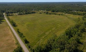 Aerial view of an undeveloped Mississippi industrial site showing an access road, wooded edges, and drainage areas considered during survey mapping