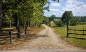 Private road leading to a rural property in Tupelo, Mississippi